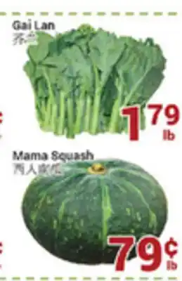 Oceans Fresh Food Market Mama Squash offer