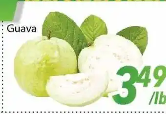 Bestco Food Mart Guava offer