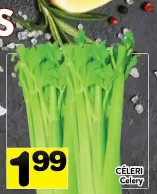 Supermarché PA Celery offer