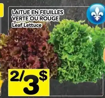 Supermarché PA Leaf Lettuce offer