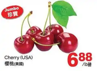 T&T Supermarket Cherry (USA) offer