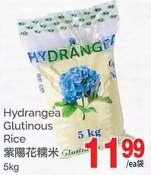 T&T Supermarket Hydrangea Glutinous Rice offer