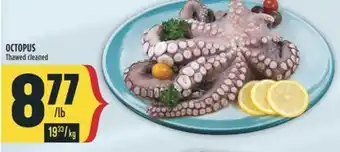 Marché Adonis OCTOPUS offer