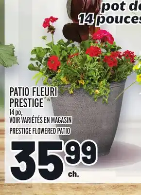 Metro PATIO FLEURI PRESTIGE | PRESTIGE FLOWERED PATIO offer