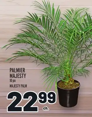 Metro PALMIER MAJESTY | MAJESTY PALM offer