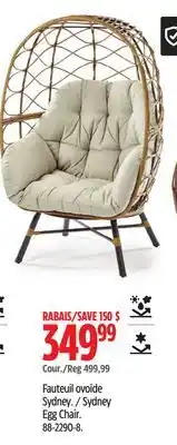 Canadian Tire CANVAS Sydney Egg Chair offer