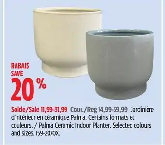 Canadian Tire Palma Ceramic Indoor Planter offer