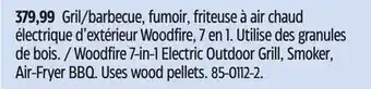 Canadian Tire Ninja Woodfire 7-in-1 Electric Outdoor Grill, Smoker, Air-Fryer BBQ offer