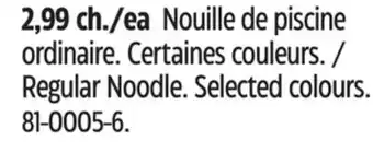 Canadian Tire Pool Noodle Regular Noodle offer
