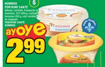 Super C HUMMUS FONTAINE SANTÉ | FONTAINE SANTÉ HUMMUS offer
