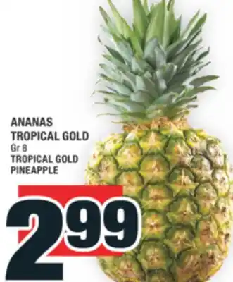 Super C ANANAS TROPICAL GOLD | TROPICAL GOLD PINEAPPLE offer