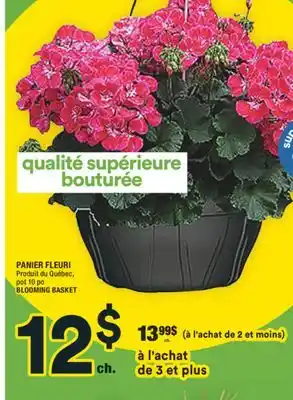 Super C PANIER FLEURI | BLOOMING BASKET offer