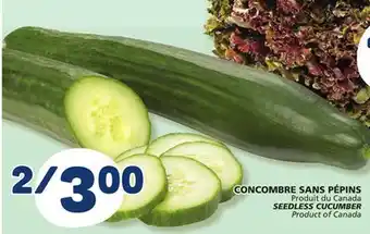 Marché Bonichoix SEEDLESS CUCUMBER offer