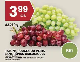 Rachelle-Bery Grocery ORGANIC SEEDLESS RED OR GREEN GRAPES offer