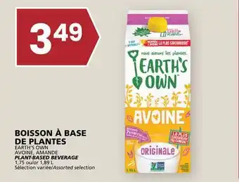 Rachelle-Bery Grocery EARTH'S OWN AVOINE, AMANDE PLANT-BASED BEVERAGE offer