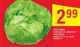 Maxi LAITUE ICEBERG offer