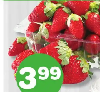 Marches Tradition STRAWBERRIES offer