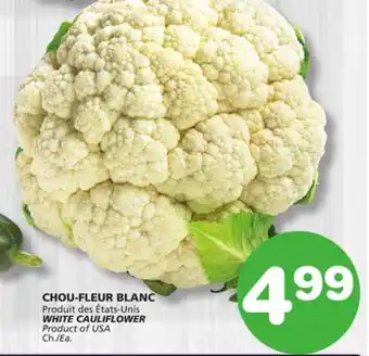 Marches Tradition WHITE CAULIFLOWER offer