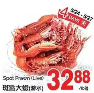 T&T Supermarket Spot Prawn (Live) offer