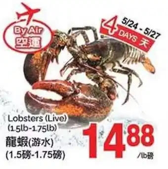 T&T Supermarket Lobsters (Live) offer