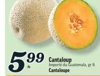 Marché Richelieu CANTALOUP | CANTALOUPE offer