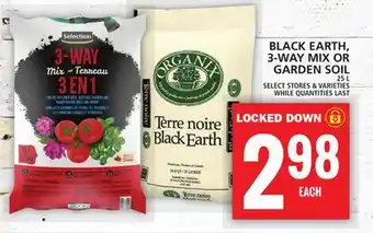 Food Basics BLACK EARTH, 3-WAYS MIX OR GARDEN SOIL offer