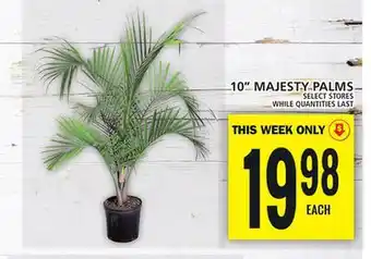 Food Basics 10 MAJESTY PALMS offer