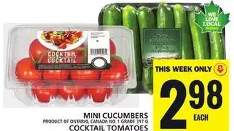 Food Basics MINI CUCUMBERS OR COCKTAIL TOMATOES offer