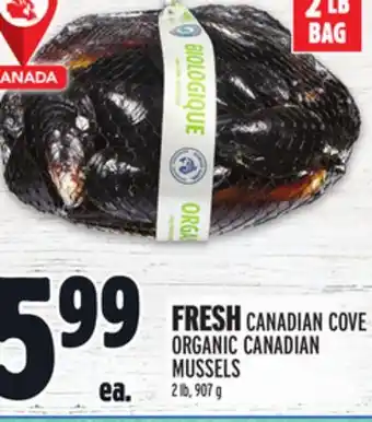 Metro FRESH CANADA FRESH CANADIAN COVE ORGANIC CANADIAN MUSSELS offer