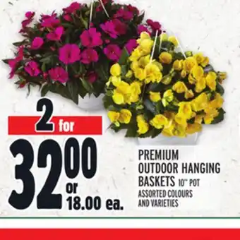 Metro PREMIUM OUTDOOR HANGING BASKETS offer