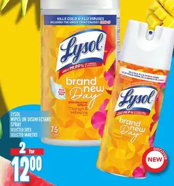 Metro LYSOL WIPES OR DISINFECTANT SPRAY offer