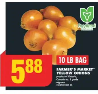 No Frills FARMER'S MARKET YELLOW ONIONS, 10 LB BAG offer