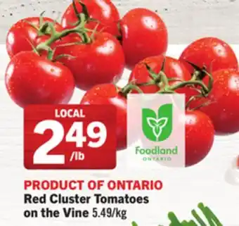 Foodland Red Cluster Tomatoes on the Vine offer