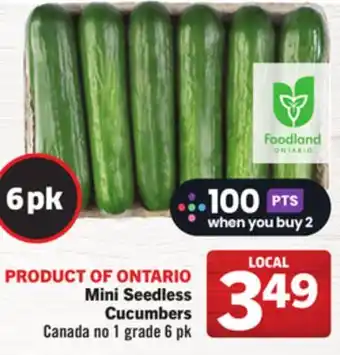 Foodland Mini Seedless Cucumbers offer