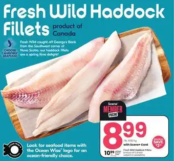 Sobeys Fresh Wild Haddock Fillets offer