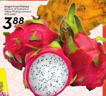 Sobeys Dragon Fruit Pitahaya offer