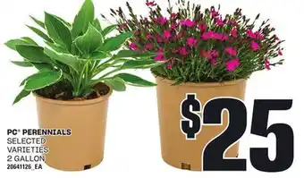 Loblaws PC PERENNIALS, 2 GALLON offer