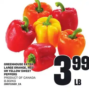 Loblaws GREENHOUSE EXTRA LARGE ORANGE, RED OR YELLOW SWEET PEPPERS offer