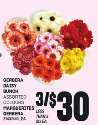 Independent Grocer GERBERA DAISY, BUNCH offer