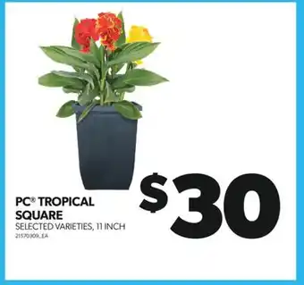 Real Canadian Superstore PC TROPICAL SQUARE, 11 INCH offer