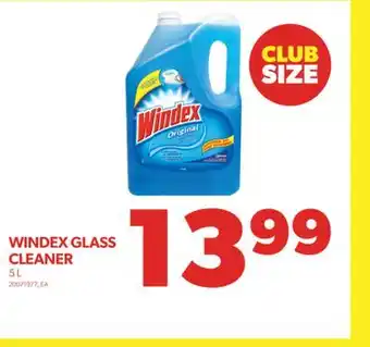 Real Canadian Superstore WINDEX GLASS CLEANER, 5 L offer