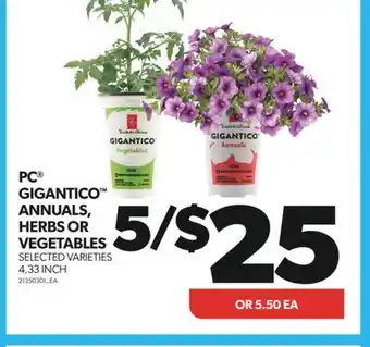 Real Canadian Superstore PC GIGANTICO ANNUALS, HERBS OR VEGETABLES, 4.33 INCH offer