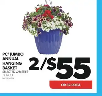 Real Canadian Superstore PC JUMBO ANNUAL HANGING BASKET, 12 INCH offer