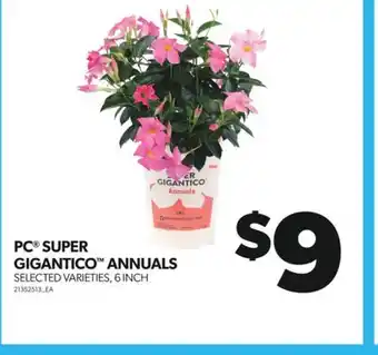 Real Canadian Superstore PC SUPER GIGANTICO ANNUALS, 6 INCH offer