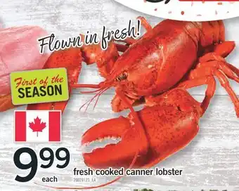 Fortinos FRESH COOKED CANNER LOBSTER offer