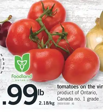 Fortinos TOMATOES ON THE VINE offer