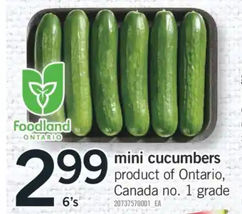 Fortinos MINI CUCUMBERS, 6's offer