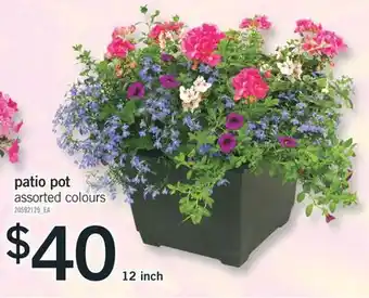 Fortinos 12 INCH PATIO POT offer