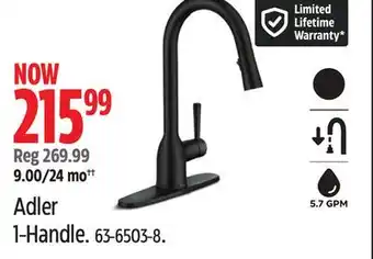 Canadian Tire Moen Adler 1-Handle Kitchen Faucet offer