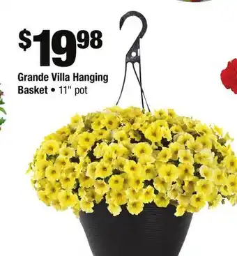 Home Depot Grande Villa Hanging Basket offer